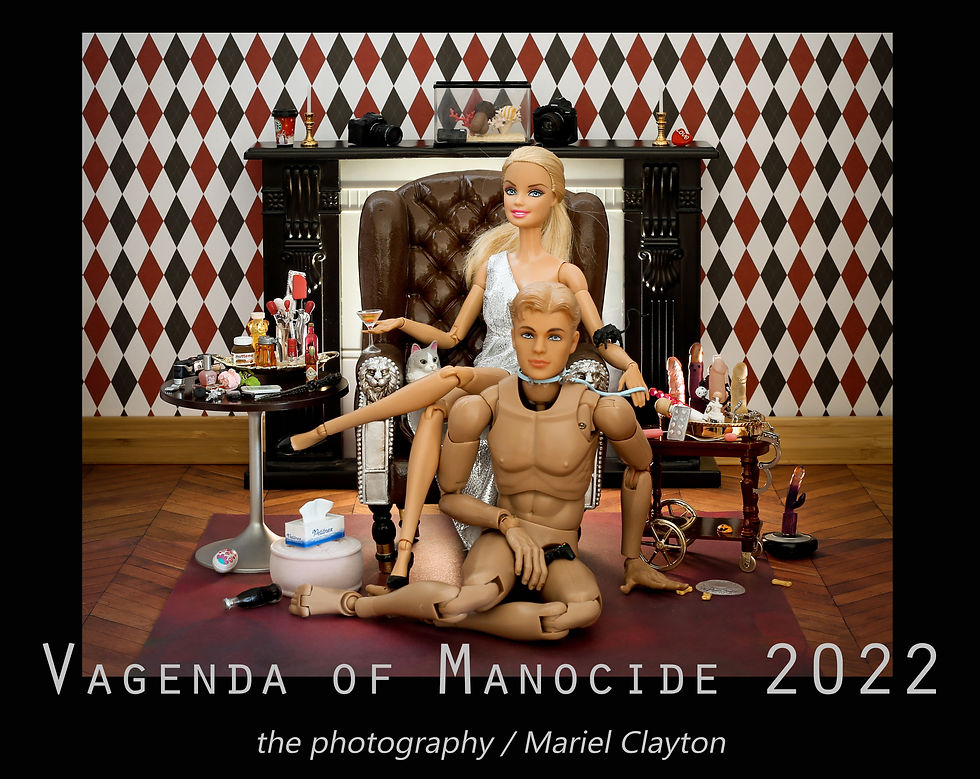 Vagenda of Manocide 2022