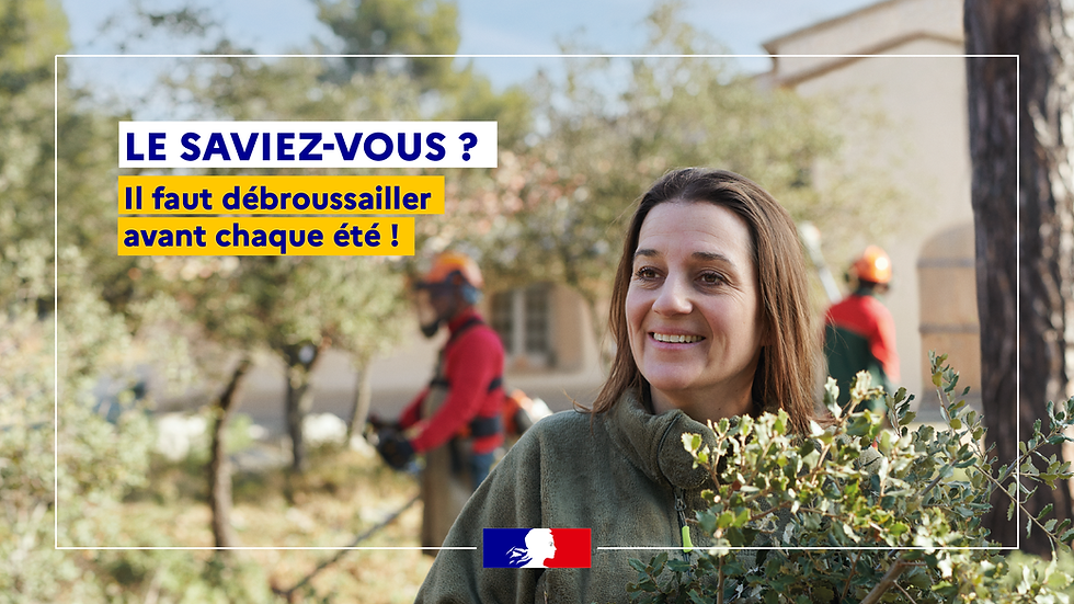 Il faut debrousailler avant chaque ete