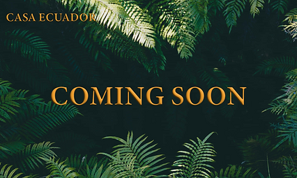 Mesa de trabajo 1xxxhdpi.png