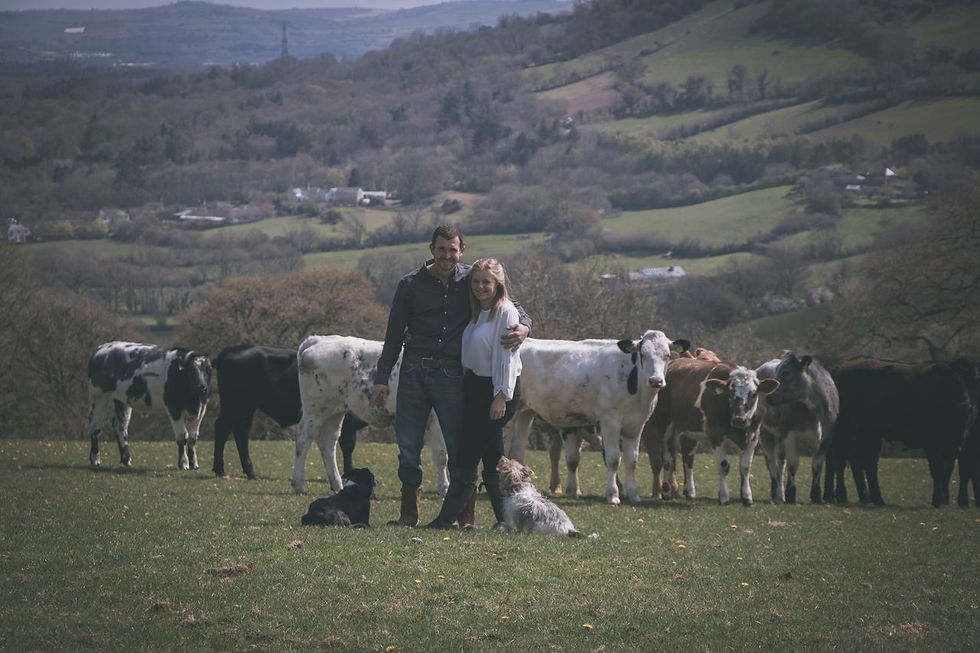 Meat Boxes J.J. Meats