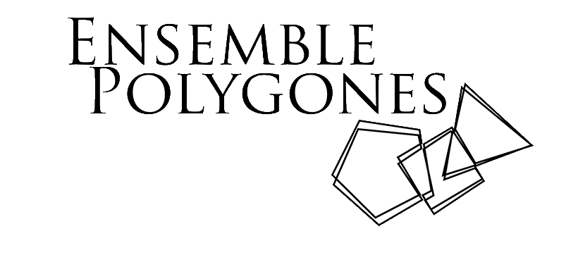 ensemble polygones logo