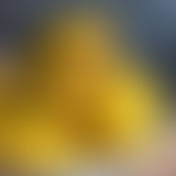 The Ultimate Guide to the Best Haitian Restaurants in Austell and Mableton, Georgia