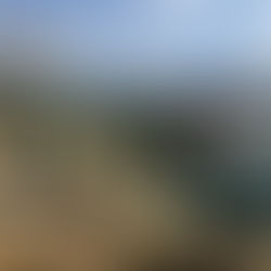 2/22 理研、ワラビーズ戦