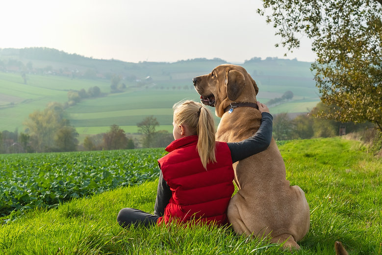 Girl and dog in field4.jpeg