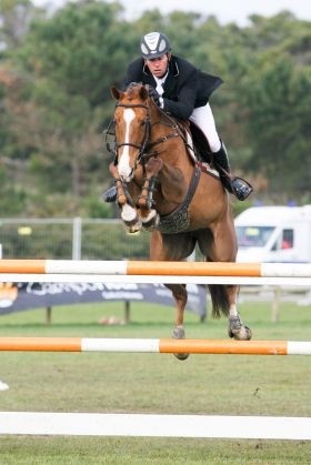 showjumping mare jumping an oxer