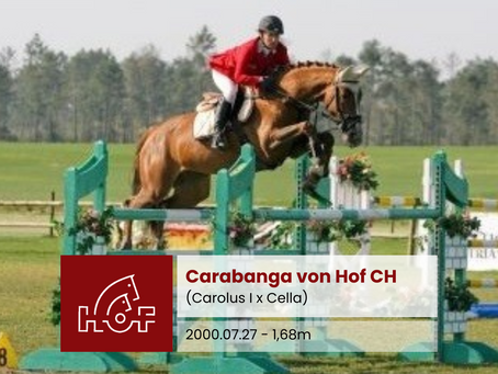 Carabanga von Hof CH