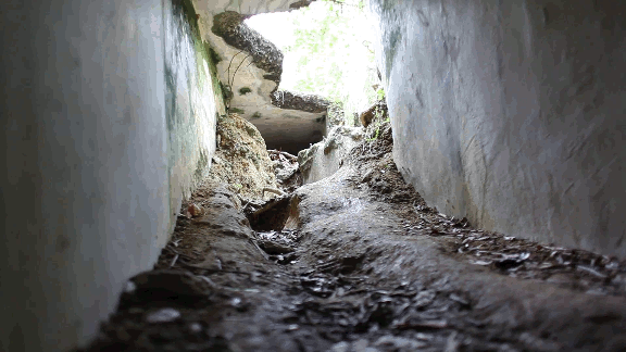 autosaveRedoubt.gif