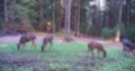 cropped-pict0041.jpg