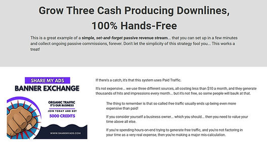 Set & forget_ Free Traffic Strategy._edited.jpg