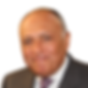 H.E. Sameh Shoukry.png