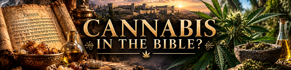 Ancient Exodus scroll, anointing oils, and cannabis plants illustrate the debate over whet