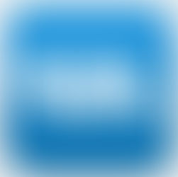 Perfect and Total Domination-Back to Back College Football National Champions the Georgia Bulldogs