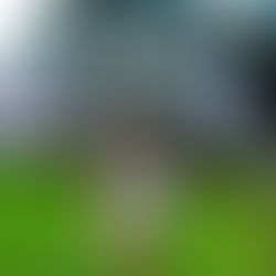 “Awakening Your Inner Kid at Heart”