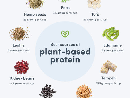 Plant-Based Protein