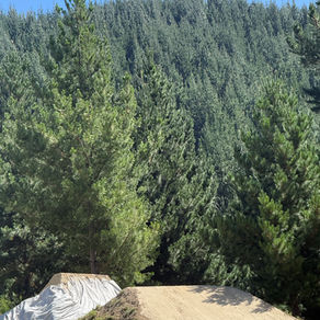 Christchurch Slopestyle Recap