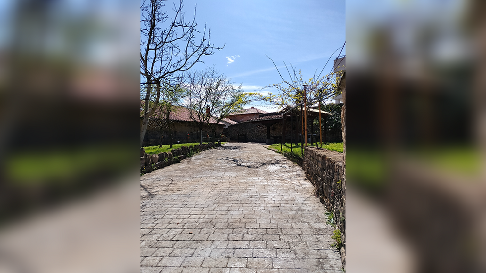 Patio trasero