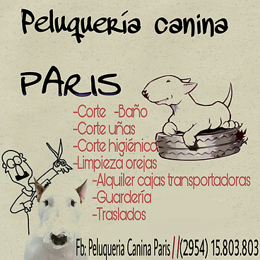 peluqueria canina paris