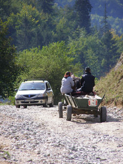 Alternative transport