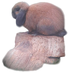 grgr.png