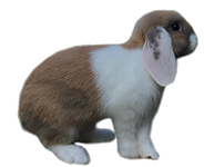 Sans titre 4_edited.png