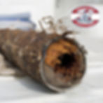 clogged drain pipe