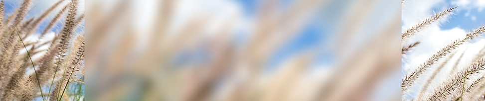 FOR WEBSITE (1).png