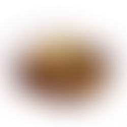 【法式洋蔥燉牛肋肉】拆肉製成Toastie更滋味!