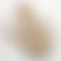 日式雞軟骨餃子 - 雙重香脆口感|Chicken Cartilage Gyoza