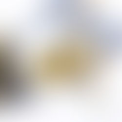 牛肝菌忌廉扁意粉|牛肝菌水你倒掉嗎?Linguine with Porcini & Cream Sauce