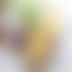 熱情果蜂蜜梳打特飲 Passionfruit & Honey Tonic