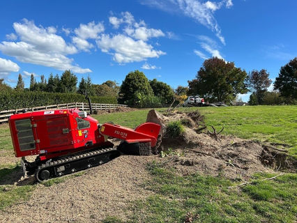 image-asset (5).jpeg