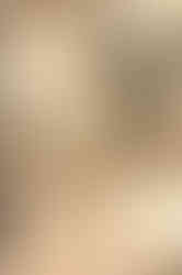 Mimic (Guillermo del Toro) Judas Bug full body sculpture (abdomen, arms, various other pieces)