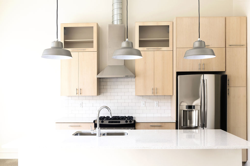 Modern Kitchen update