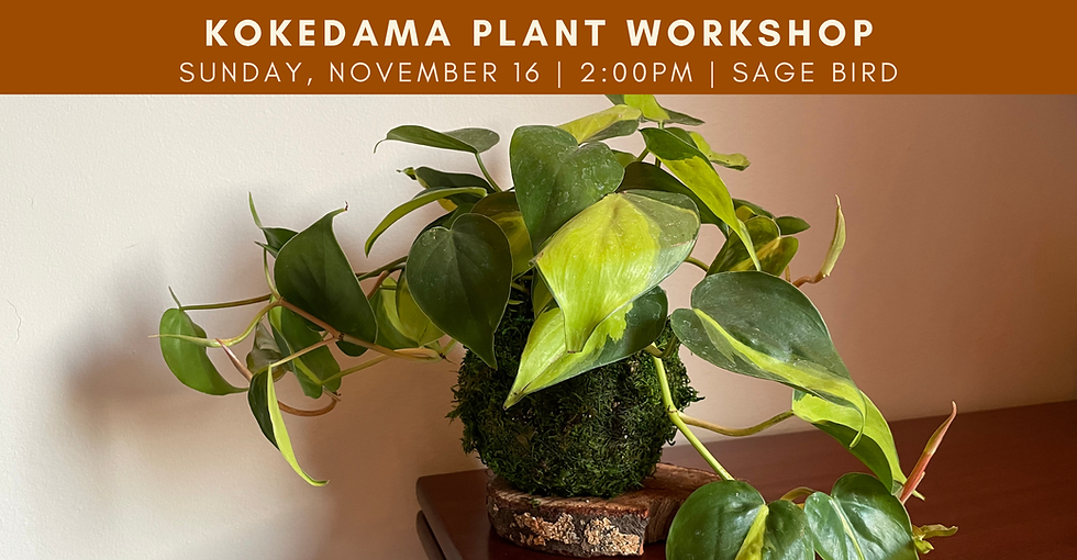 Plant Workshop: Kokedama Ball