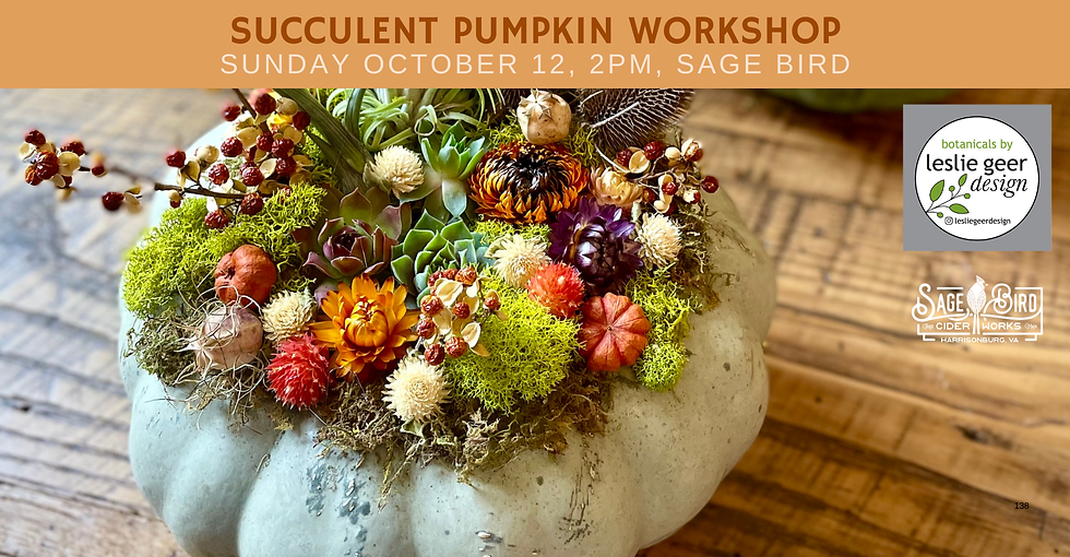 Succulent Pumpkin Workshop