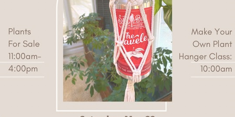 Macrame Plant Hanger Workshop