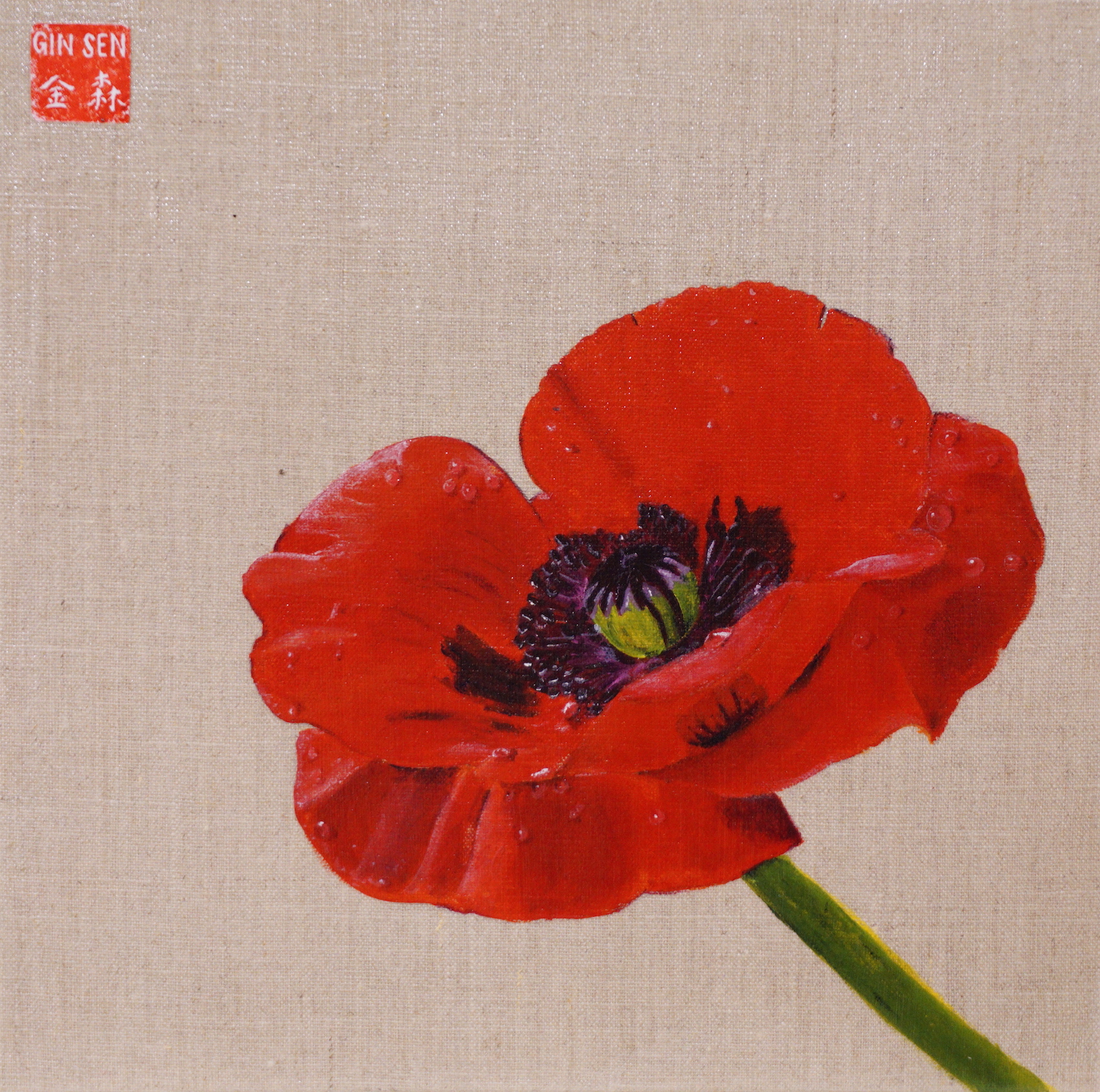 Raw Poppy, 2017