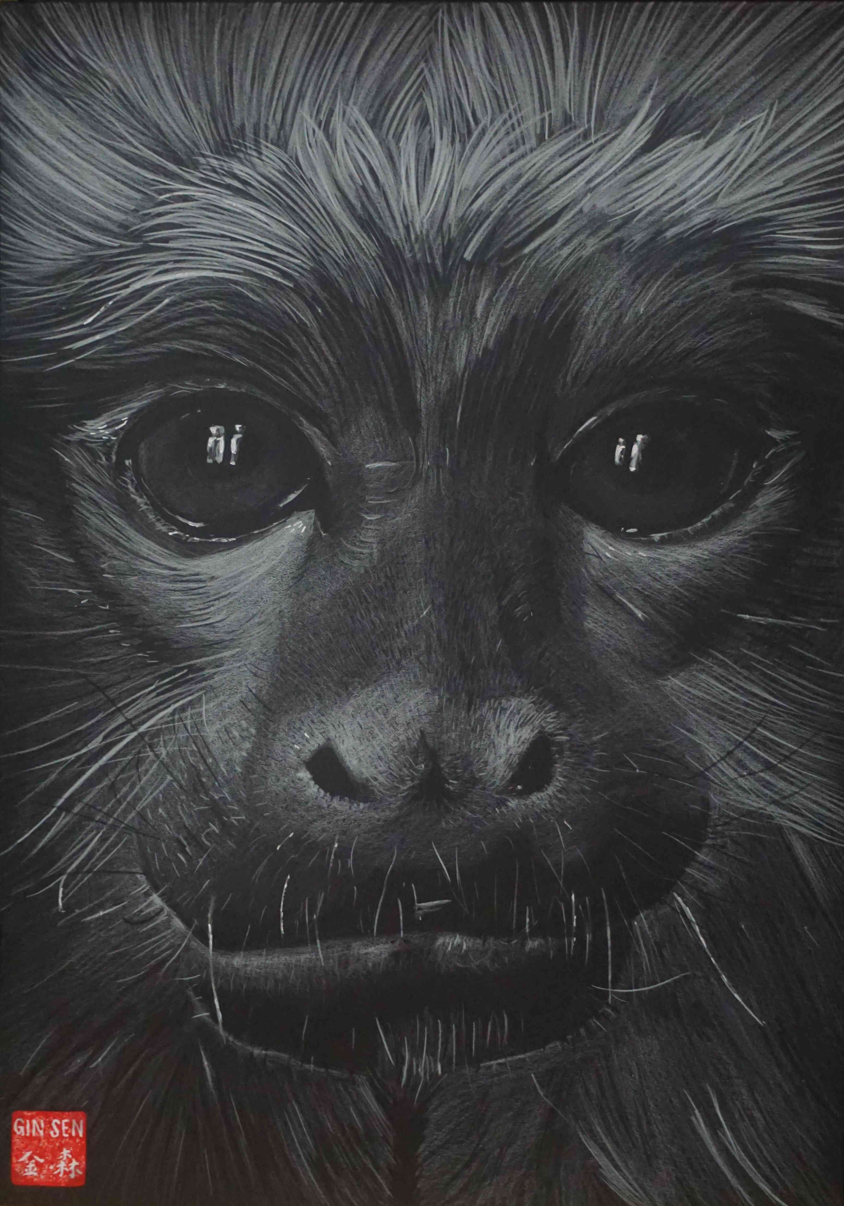 Year of the Monkey, 2016