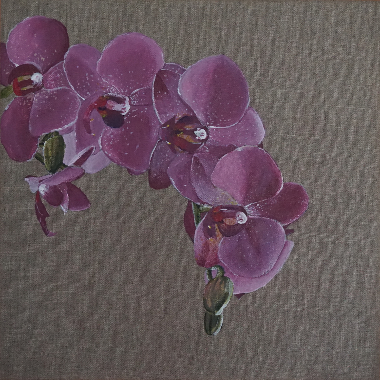 Raw Orchids, 2017
