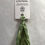 Thumbnail: Gloriana Silk Ribbon #120 Green Gables 4Mm