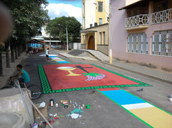 Foto0113