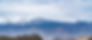 pexels-rajeev-sammy-12064436_edited.jpg
