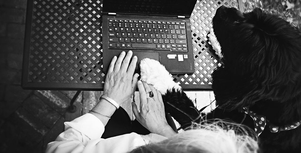 AmyandBaloohandsonlaptop_edited.jpg