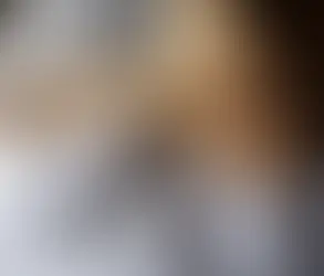 Exploring the Relationship Between Restless Leg Syndrome and Venous Insufficiency