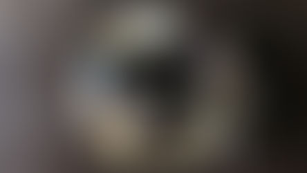 リース即売会のお知らせ