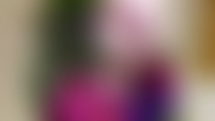 お祝い花のお届け