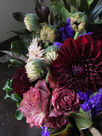 IMG_7159.jpeg
