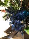 IMG_7913.jpeg