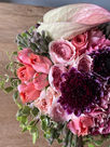 IMG_7005.jpeg