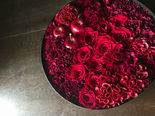 IMG_8075.jpeg